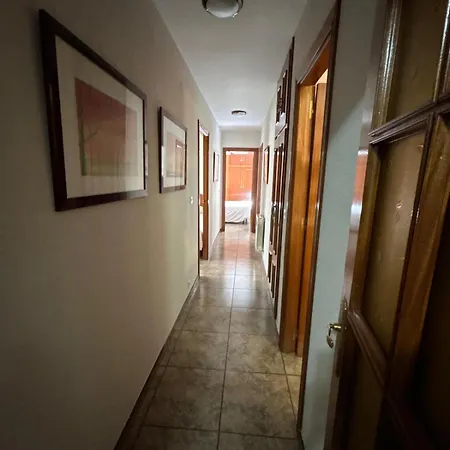 Apartmán Palmera *
